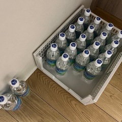 炭酸水２０本シャインマスカット味１９本とラムネ味１本の画像