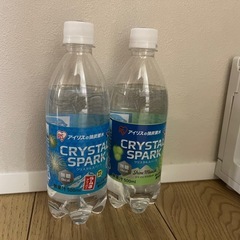 炭酸水２０本シャインマスカット味１９本とラムネ味１本の画像