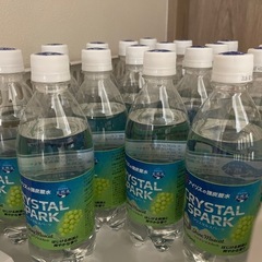 炭酸水２０本シャインマスカット味１９本とラムネ味１本の画像