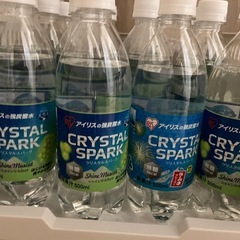 炭酸水２０本シャインマスカット味１９本とラムネ味１本の画像