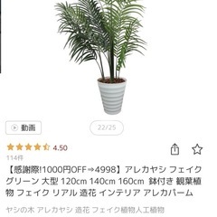 【決まりました】フェイクグリーンの画像