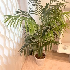 【決まりました】フェイクグリーンの画像