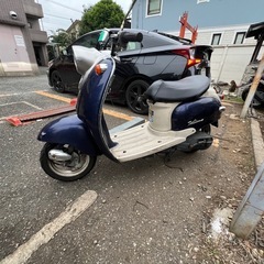 ビーノ❣️他在庫多数飛込見学大歓迎の画像