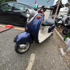 ビーノ❣️他在庫多数飛込見学大歓迎の画像