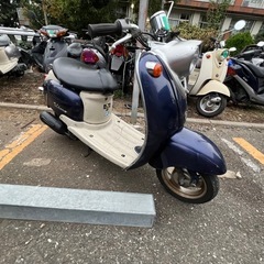 ビーノ❣️他在庫多数飛込見学大歓迎の画像