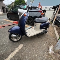 ビーノ❣️他在庫多数飛込見学大歓迎の画像