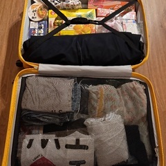 LOJEL スーツケース  まだまだ使えますの画像