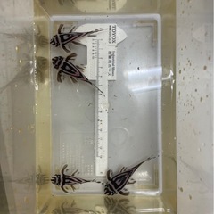 プレコ　4匹まとめての画像