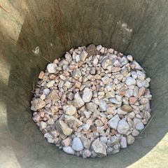 除草用に使っていました！の画像