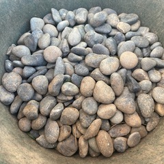 除草用に使っていました！の画像