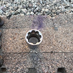 レイズ　レーシングナット20本の画像