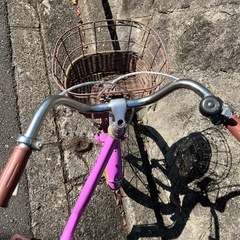 a.n.design works 18インチ　自転車　紫の画像