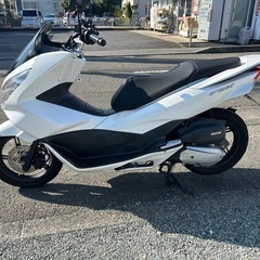PCX125 jf56の画像