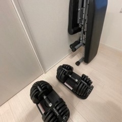 可変式ダンベル 24kg×2 & インクラインベンチ  Sardine／折りたたみ式ベンチセット 引き取り限定／動作品の画像