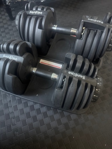 可変式ダンベル 24kg×2 & インクラインベンチ  Sardine／折りたたみ式ベンチセット 引き取り限定／動作品