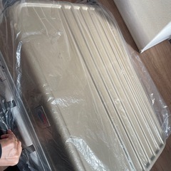 大きめのキャリーバッグの画像