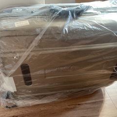 大きめのキャリーバッグの画像