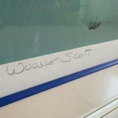 ジェーン・ウースター・スコット　絵画の画像