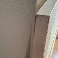 ジェーン・ウースター・スコット　絵画の画像