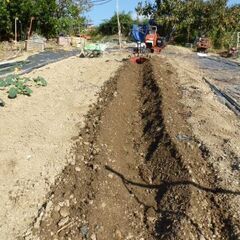 ホンダ　管理機　F201　畝たて　移動車輪付き　中古の画像