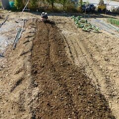 ホンダ　管理機　F201　畝たて　移動車輪付き　中古の画像