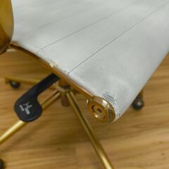 ガス式昇降ゴールド脚xホワイトデスクチェアの画像