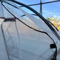 ビニール温室の画像