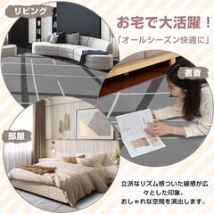 【全国発送可】カーペット ラグマット 厚手15mm ふわふわ肌触り 超高密度 低反発 滑り止め 通気性が良い マイクロファイバー 　業者歓迎　転売OK　　倒産品　まとめ売り　ネット商材　アマゾン引き上げ商品　メルカリ　副業の画像