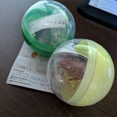 うちの子のけだまだま　交換または買い取りしてくれる方の画像