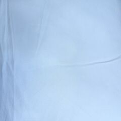 クッション 2個 セット 横幅約50cmの画像