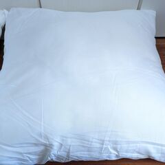 クッション 2個 セット 横幅約50cmの画像