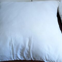 クッション 2個 セット 横幅約50cmの画像