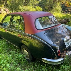 ミツオカビュート激レアの画像