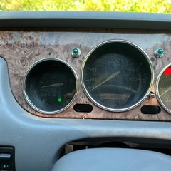 ミツオカビュート激レアの画像