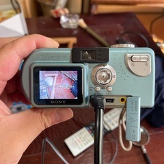 SONY カメラの画像