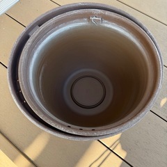 メダカ（もう決まりそうです）の画像