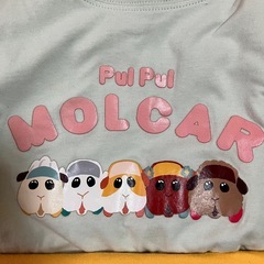 モルカー10枚　Tシャツ、トレーナー　110.120の画像