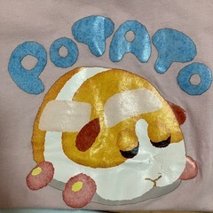 モルカー10枚　Tシャツ、トレーナー　110.120の画像