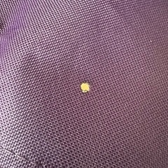 サウザンポート キャンプ用 イス 椅子 チェアの画像