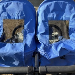 エアバギー2人乗りの画像