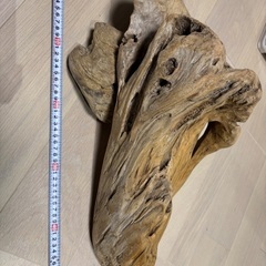 流木の画像