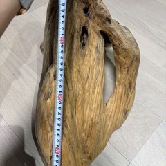 流木の画像