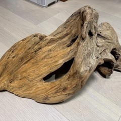 流木の画像