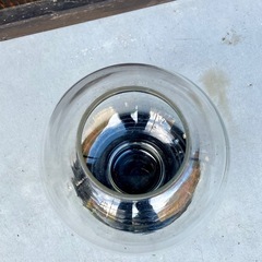 金魚鉢　メダカ　花瓶　ガラスの画像