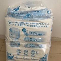 新品未使用メリーズパンツ 男女兼用ビッグサイズ（12～22kg）48枚の画像