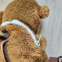 くまのリュックの画像