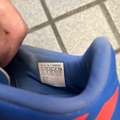 スパイク22センチの画像