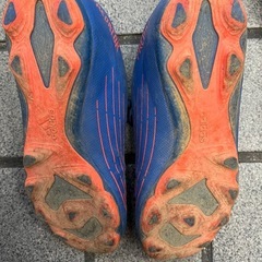 スパイク22センチの画像