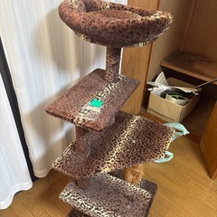キャットタワーの画像