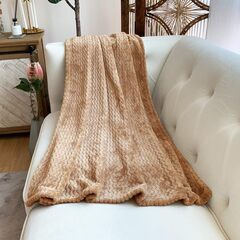 毛布 ひざ掛け ブランケット 大判 羽織 あったか ふわふわ 柔らかい マイクロファイバー 丸洗いOK 抗菌防臭 防ダニ加工 　転売OK　倒産品　まとめ売り　ネット商材　アマゾン引き上げ商品　メルカリ　副業の画像